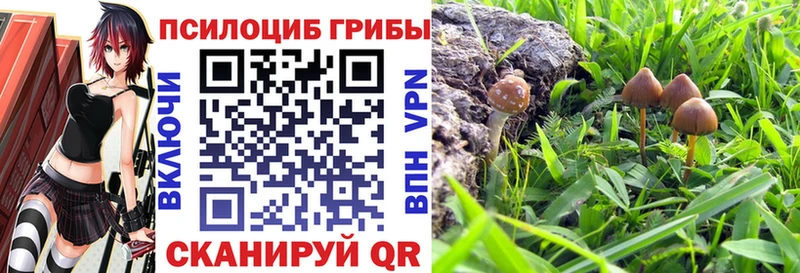 купить закладку  KRAKEN рабочий сайт  Псилоцибиновые грибы Magic Shrooms  Кизел 